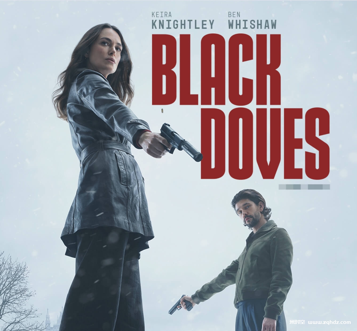 英剧《黑鸽第一季/Black Doves Season 1》全6集1080P网盘下载，英语发音中文字幕，已做压缩处理，网盘下载后解压使用，文件大小12.19 GB。