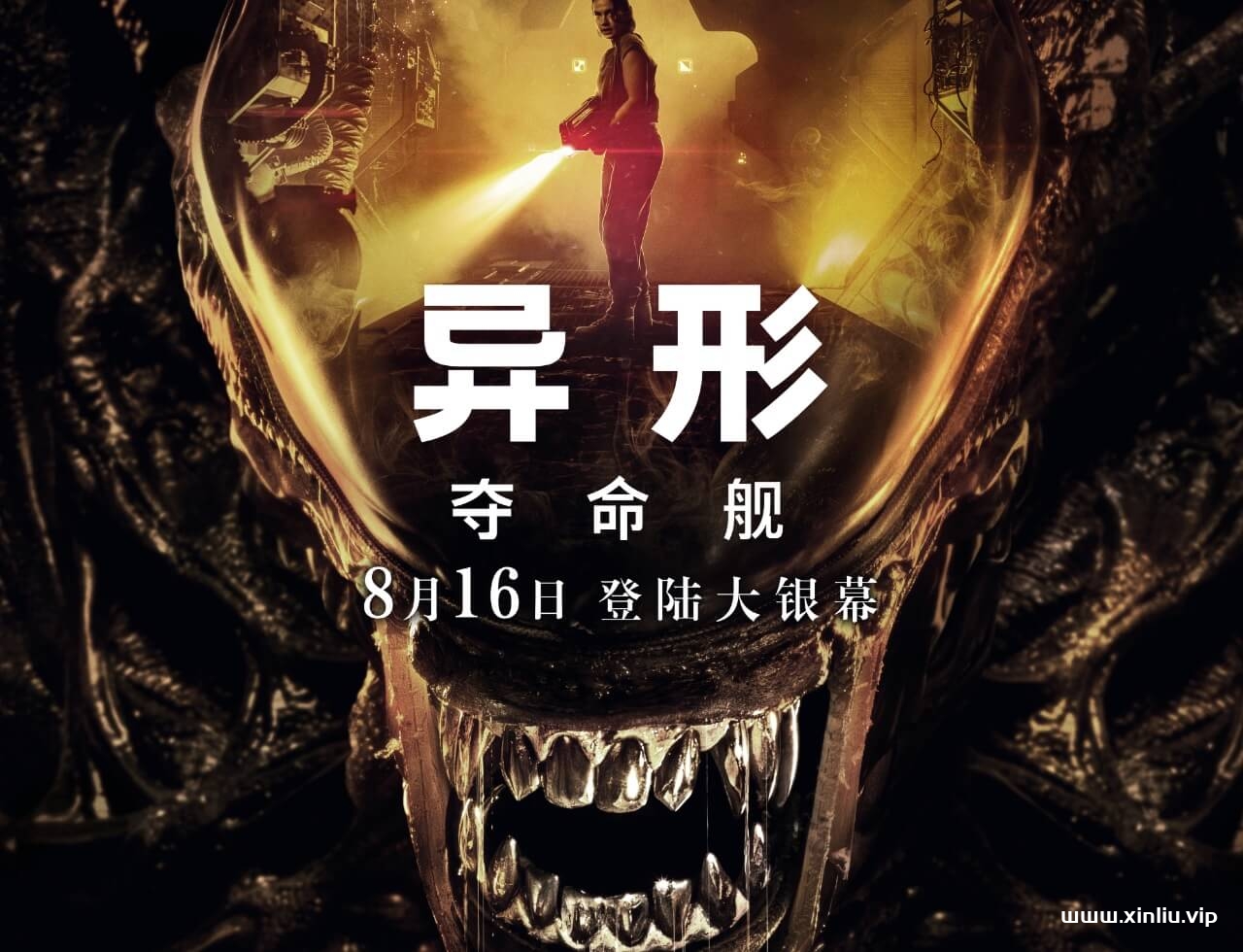美剧《异形:罗穆卢斯/罗穆路斯》4K超高清电影网盘下载,英文中文双发音切换使用,中文字幕,已做压缩处理,网盘下载后解压使用,文件大小25.7 GB。